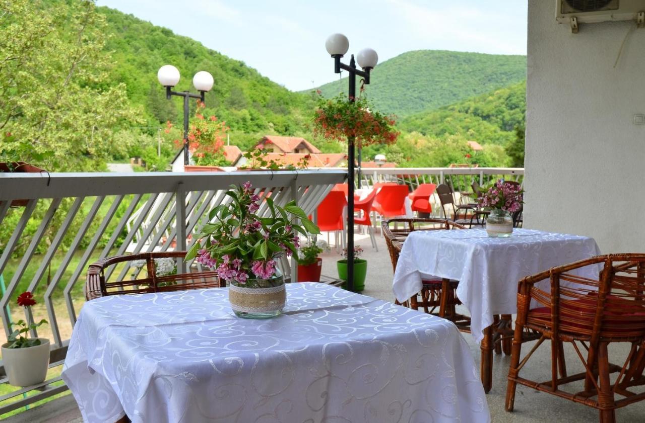 Hotel Resava デスポトヴァツ エクステリア 写真